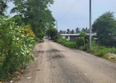 Unpaved road leading to residential area with tropical vegetation