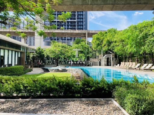 Swimming pool and garden area in a modern residential complex