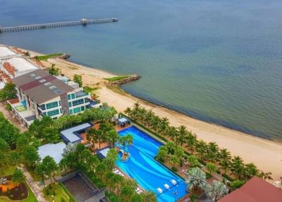 Aerial view of beachfront residential area with swimming pool and garden
