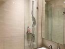 Modern bathroom interior with walk-in shower and glass partition