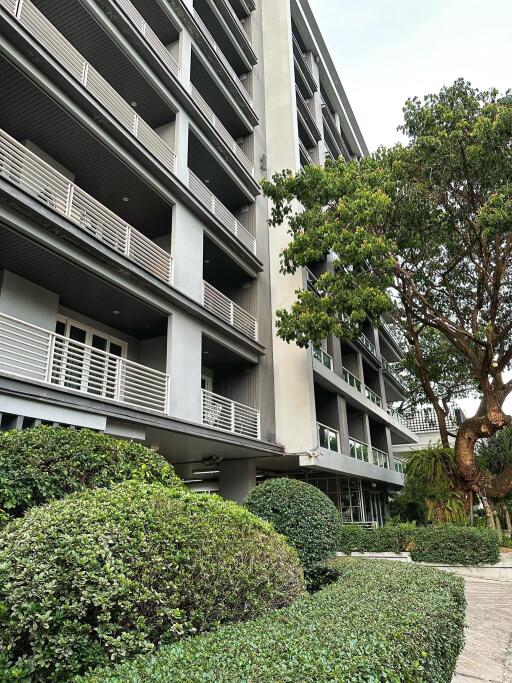 Condo for Rent at Rawee Waree Condo