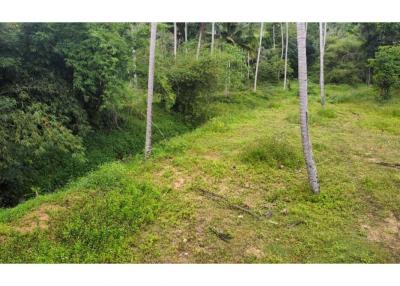 Plot 1 and 4: 500 SQ.M Small Land for sale at Lamai ,Koh Samui - 920121001-1981