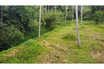 Plot 1 and 4: 500 SQ.M Small Land for sale at Lamai ,Koh Samui