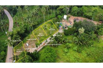 Plot 1 and 4: 500 SQ.M Small Land for sale at Lamai ,Koh Samui