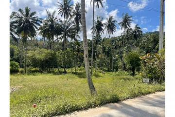 Plot 3: 400 SQ.M Small Land for sale at Lamai ,Koh Samui