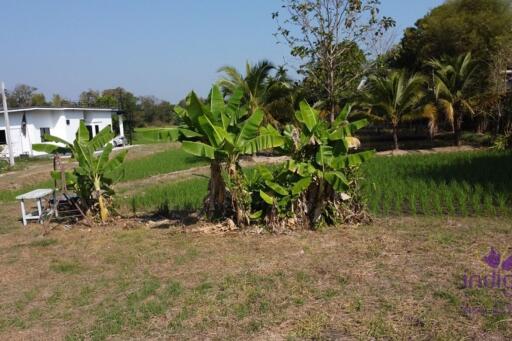 A very nice plot of land in Mae Rim which would be ideal if you’re looking for land to build your dream home where you can grow your own fruits and vegetables.