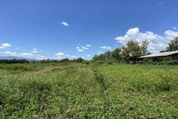 ขายที่ดินสวยที่ท่าเรือ ดอยสะเก็ด เชียงใหม่