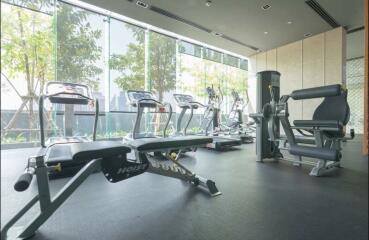 Modern gym with exercise equipment and large windows