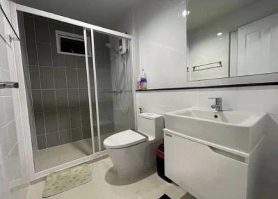 Modern bathroom interior with walk-in shower, toilet, and sink