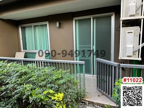 Apartment balcony with greenery and window shutters