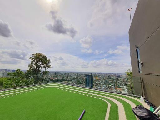 Spacious rooftop garden with artificial turf and panoramic city view