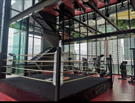 Modern gym facility with boxing ring and panoramic city views