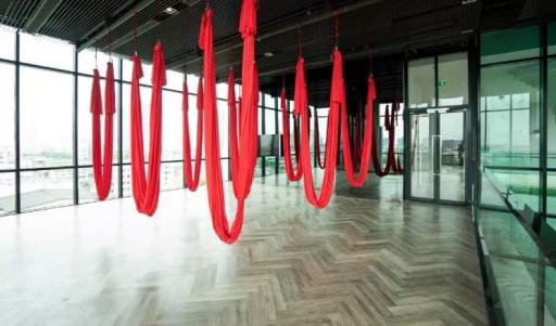 Modern fitness studio with red aerial yoga hammocks and large windows