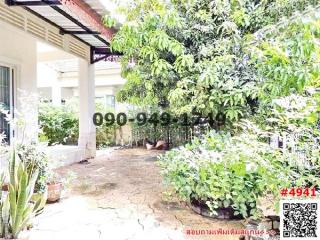 Peaceful house front yard with plants and shaded area