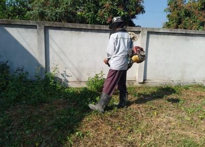 Person maintaining garden area outside a property