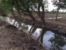 Rural landscape with water stream and cultivated land