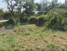 Open land plot with vegetation and potential for development