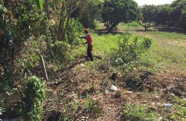 Person standing on a piece of undeveloped land with natural vegetation