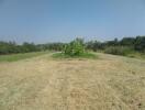 Spacious open land with greenery under clear sky