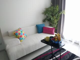 Cozy living room with white sofa and decorative pillows