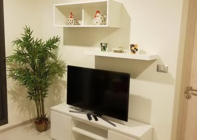 Cozy living room interior with television and shelves