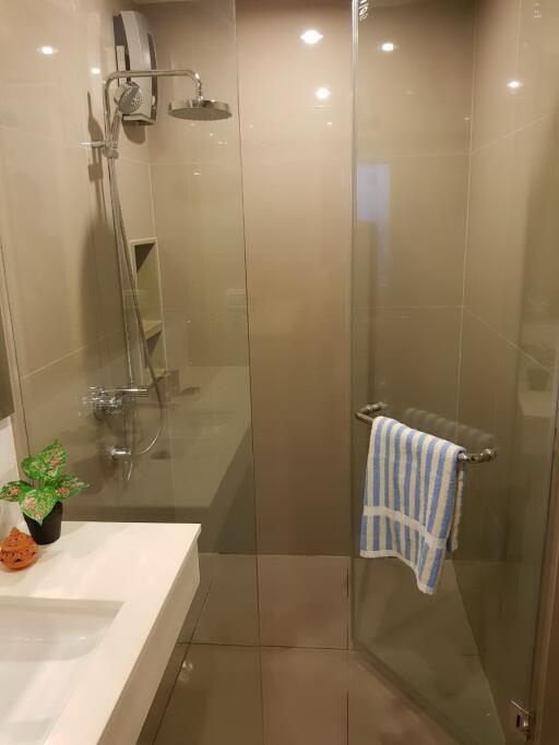 Modern bathroom interior with a glass shower and vanity sink