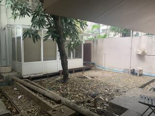 Spacious backyard patio with natural shade from tree and potential for renovation