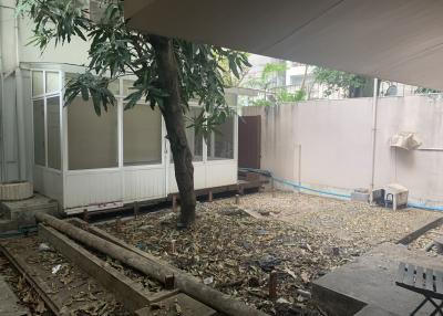 Spacious backyard patio with natural shade from tree and potential for renovation