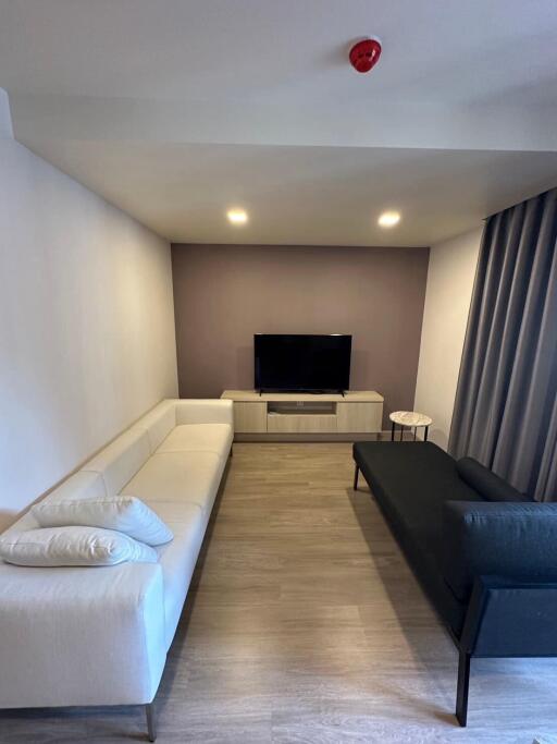 Modern living room with neutral color scheme and natural light