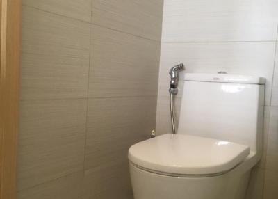 Modern bathroom interior with a close-up of a clean toilet