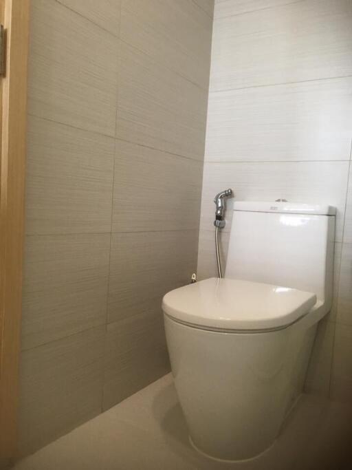 Modern bathroom interior with a close-up of a clean toilet