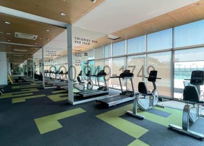 Modern gym with cardio equipment and panoramic windows