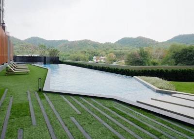 Modern home exterior with an infinity pool and lush greenery