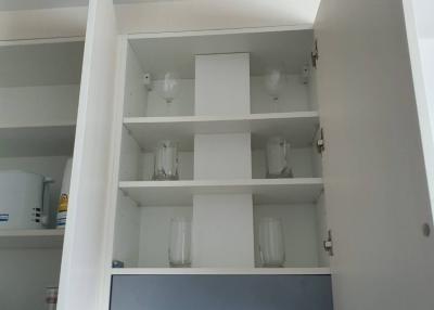 Modern kitchen cabinet with organized shelves and glassware