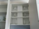 Modern kitchen cabinet with organized shelves and glassware