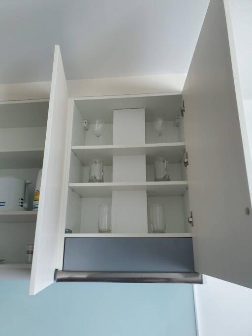 Modern kitchen cabinet with organized shelves and glassware