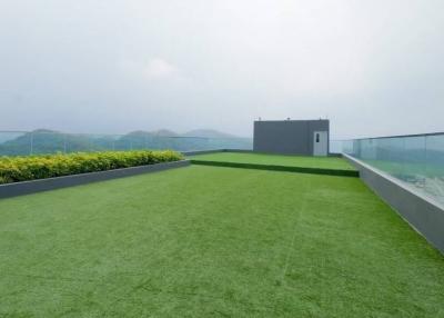 Spacious rooftop garden with green artificial grass and clear glass fence