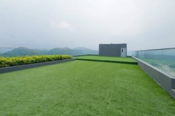 Spacious rooftop garden with green artificial grass and clear glass fence