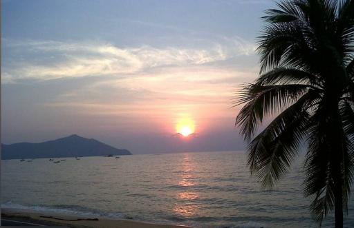 Sunset view with palm tree at beachfront property