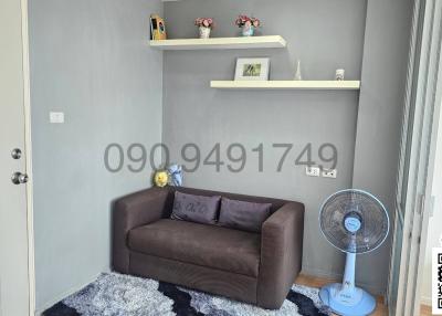 Cozy living room with sofa and decorative shelves