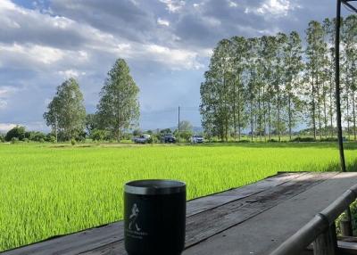 Serene outdoor view with lush green field