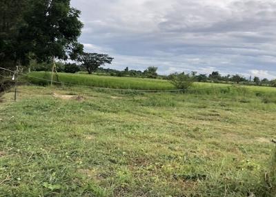 Expansive open land with natural greenery under cloudy skies