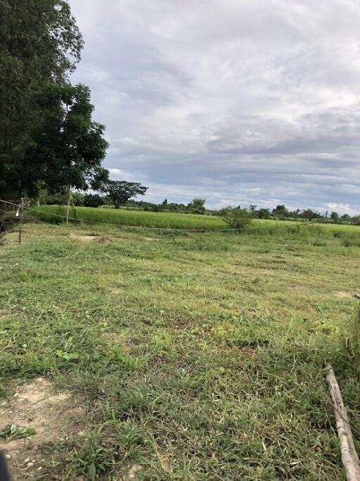 Expansive open land with natural greenery under cloudy skies