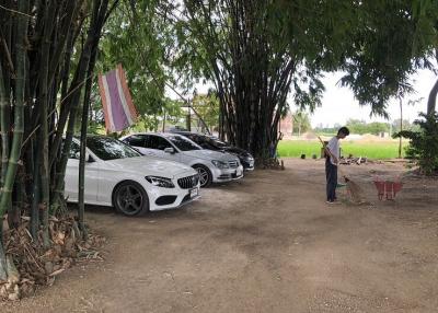 Cars parked under bamboo trees in an outdoor area with a person standing nearby
