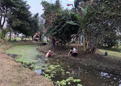 People by a pond in a garden setting with lush greenery