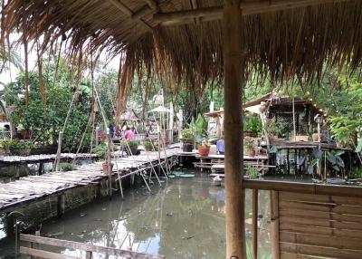 Rustic garden with pond and bamboo structures