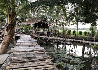 Rustic wooden walkway leading to a thatched hut by a pond with lush greenery