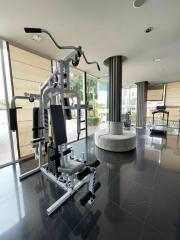 Modern private gym inside residential building with exercise equipment