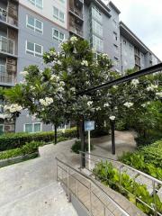 Modern residential building surrounded by greenery and a blooming tree in the foreground