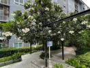 Modern residential building surrounded by greenery and a blooming tree in the foreground